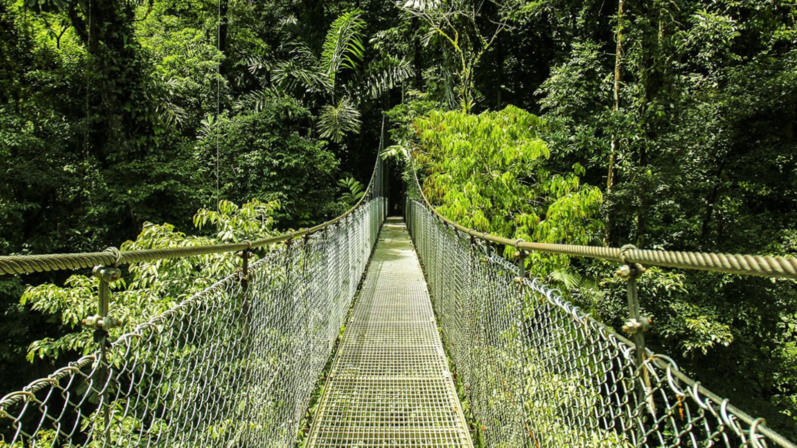 Unforgettable Tourism Experiences