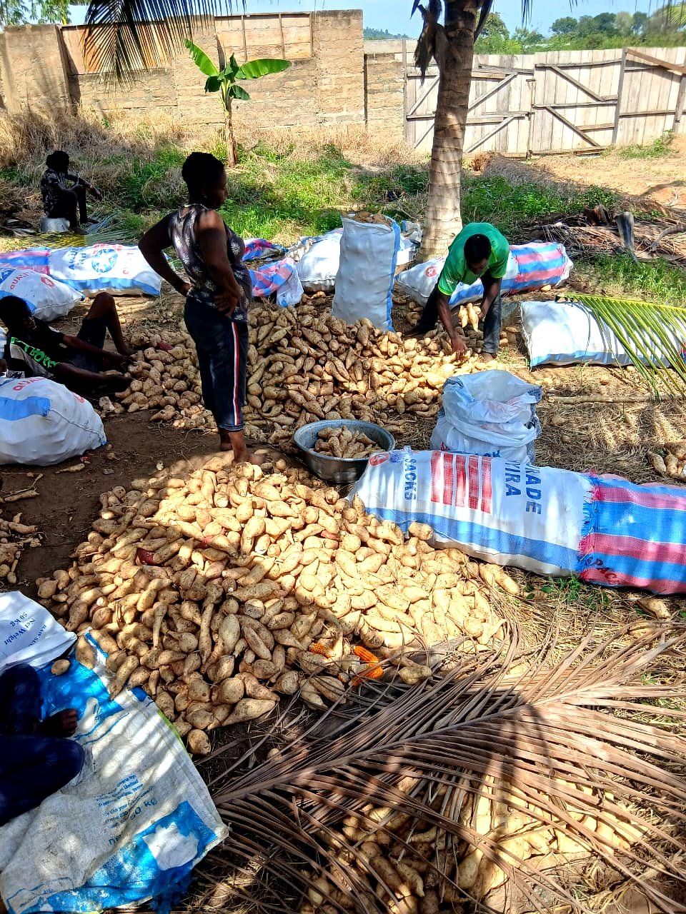 Farm-to-Market Programme