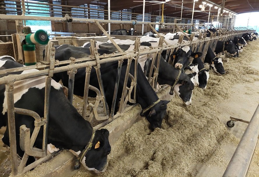 Animal Husbandry